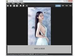 ACDSee,ACDSee Free,ACDSee免费版