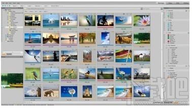 ACDSee,ACDSee Free,ACDSee免费版